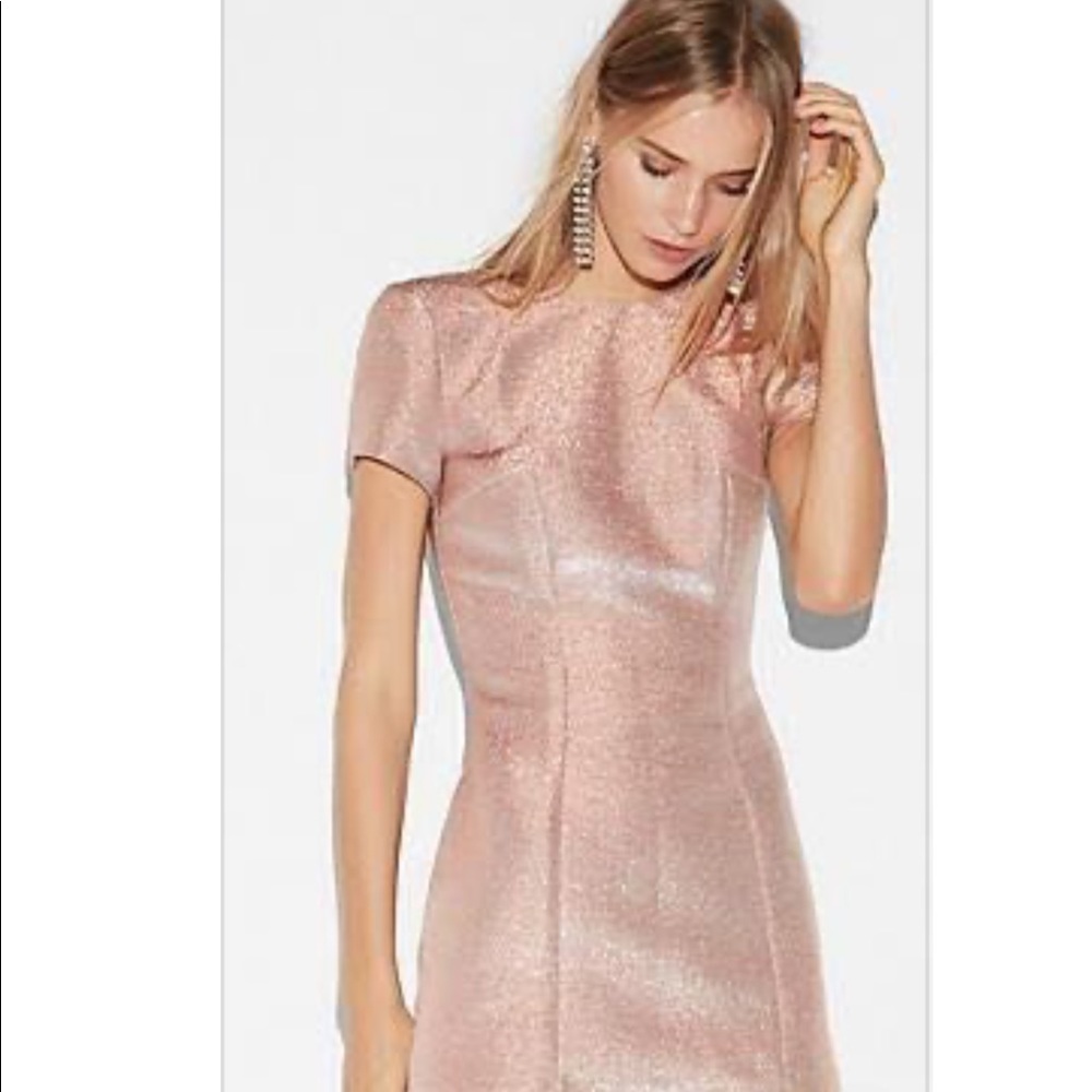 💋Express Rose Gold Dress